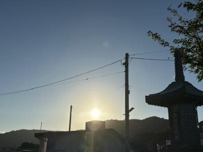 image1.jpeg